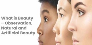 What is Beauty – Observation, Natural and Artificial Beauty What is Beauty – Observation, Natural and Artificial Beauty