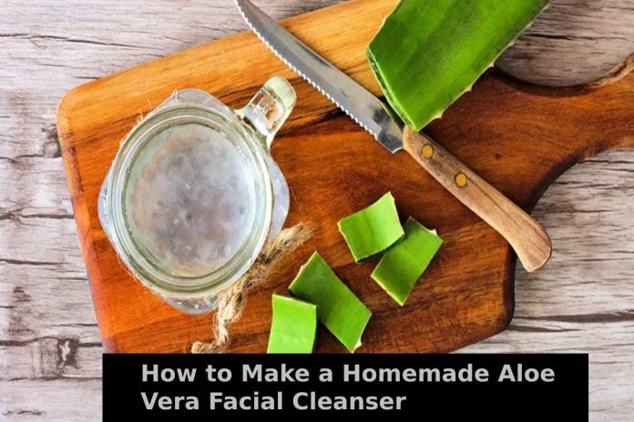 How to Make a Homemade Aloe Vera Facial Cleanser