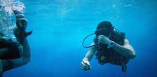 Budget Summer Watch Picks: 6 Best Dive Watches Under $500 Dive watches