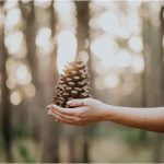 Special Gift Giving for Your Fall Fanatic Friends or Family Members Special gifts