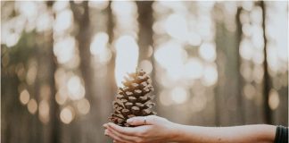 Special Gift Giving for Your Fall Fanatic Friends or Family Members Special gifts