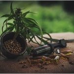 CBD Gummies Would Take Care of Your System