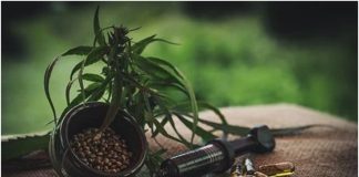 CBD Gummies Would Take Care of Your System. CBD Gummies Would Take Care of Your System