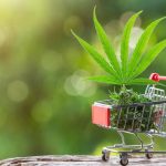 CBD and workout recovery