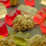 CBD Gummies Would Take Care of Your System. cbd gummies