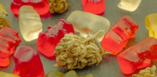 CBD Gummies Would Take Care of Your System. cbd gummies