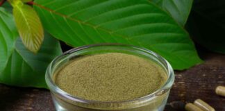 Kratom For Migraines: Guidelines for beginners kratom for migraines