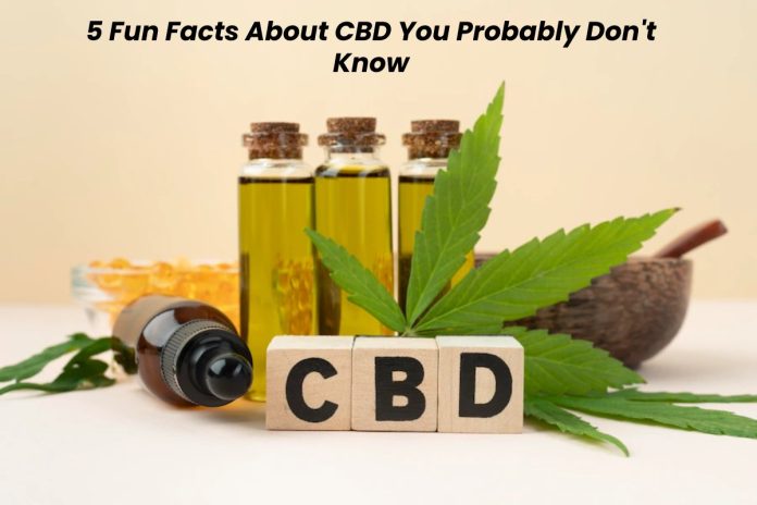 Fun facts about CBD