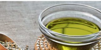 5 Fun Facts About CBD You Probably Don’t Know fun facts about cbd