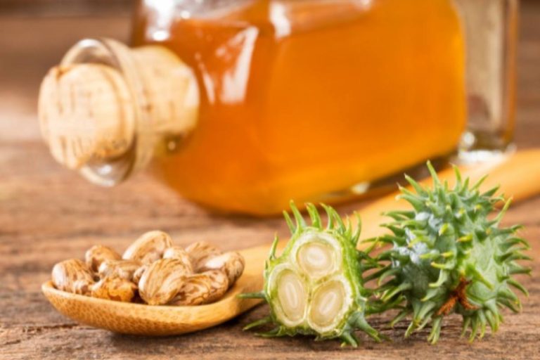 Castor Oil – The New Favorite for Hair, Skin, and Nails