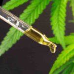 To Surprising Beauty Benefits Of Using Weed Oil weed oil