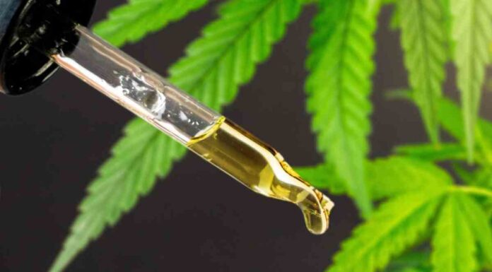 To Surprising Beauty Benefits Of Using Weed Oil weed oil