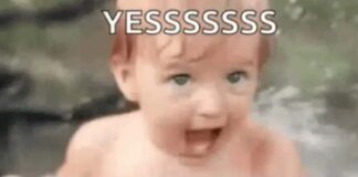 funny snap stickers That You Would Regret