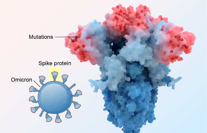 What sets Omicron apart from other COVID variants