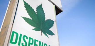 Cannflash .com: Everything You Need to Know in 2025 Cannflash .com